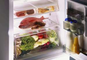 冰箱保養(yǎng)事項有哪些 冰箱保養(yǎng)事項介紹